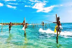 Blog image thumbnail